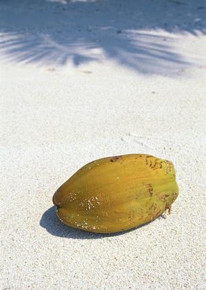 羽田空港直結の高評価ホテル：住友不動産ヴィラフォンテーヌの魅力と詳細情報